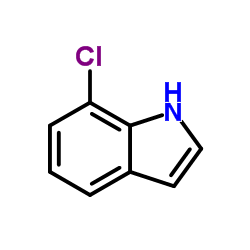 CAS :53924-05-3|7-Chloroindole
