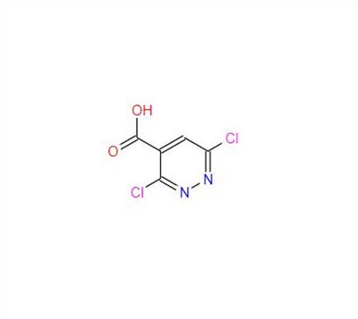 CAS :51149-08-7丨3,6-dichloropyridazine-4-acide carboxylique